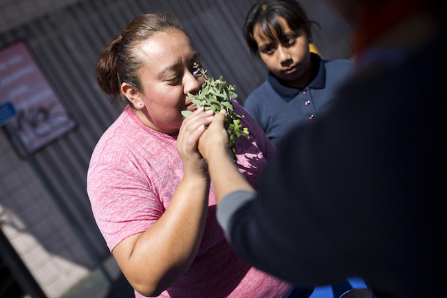 Mary Muñoz, left, and her daughter, Melanie, smell fresh herbs grown at one of Community Services Unlimited's five mini-urban farm sites. | Photo by Maya Sugarman for KPCC