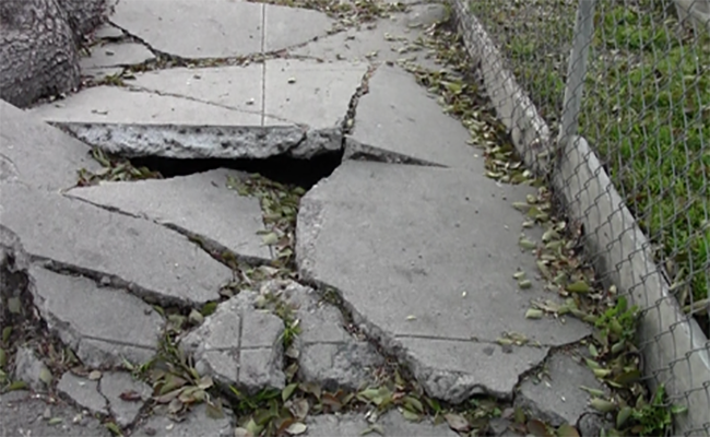 A cracked sidewalk in South L.A. is hazardous to pedestrians. | Kate Guarino